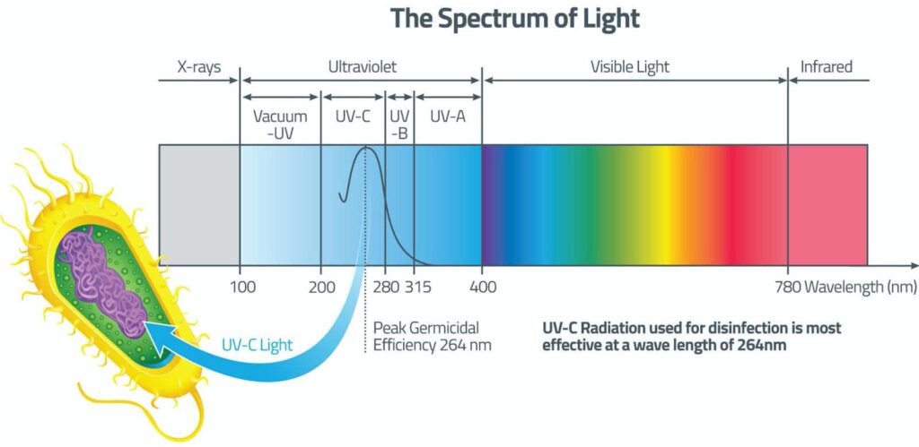 Uv Light Spectrum